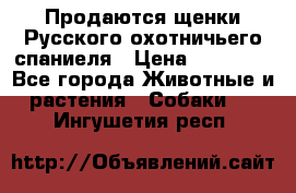 Продаются щенки Русского охотничьего спаниеля › Цена ­ 25 000 - Все города Животные и растения » Собаки   . Ингушетия респ.